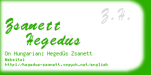 zsanett hegedus business card
